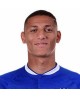 Richarlison Trikot