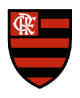 Flamengo Trikot Kinder