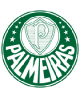 Palmeiras Trikot Kinder